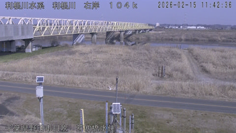 tonme2026021512_image