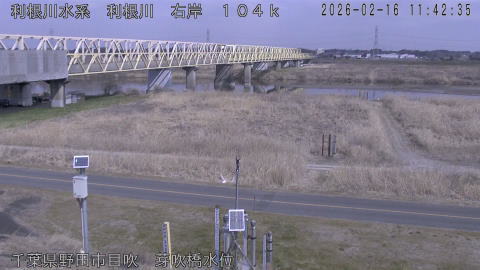 tonme2026021612_image