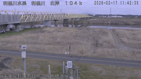 tonme2026021712_image