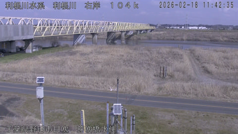 tonme2026021812_image