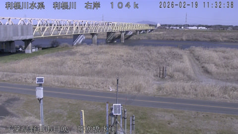 tonme2026021912_image