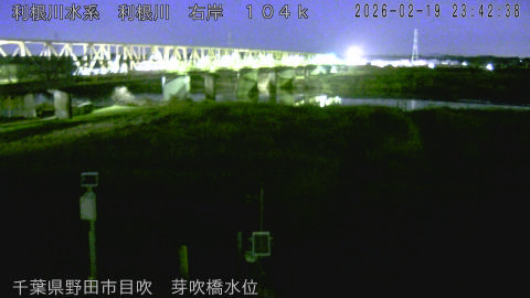 tonme2026022000_image