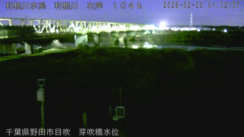 tonme2026022002_image