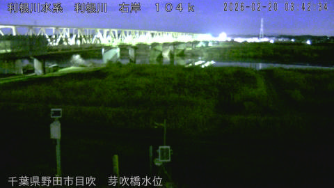 tonme2026022004_image