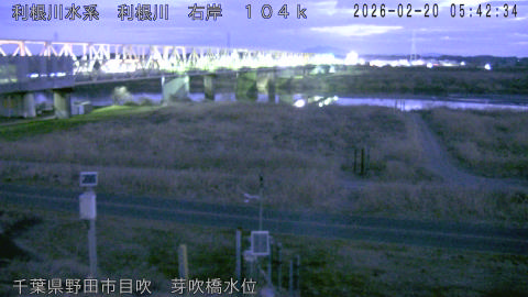 tonme2026022006_image