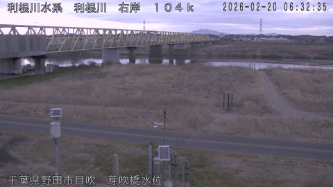 tonme2026022007_image