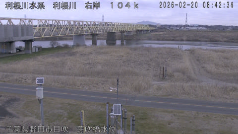 tonme2026022009_image