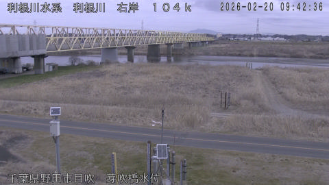 tonme2026022010_image