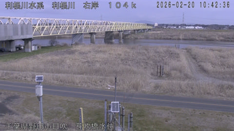 tonme2026022011_image