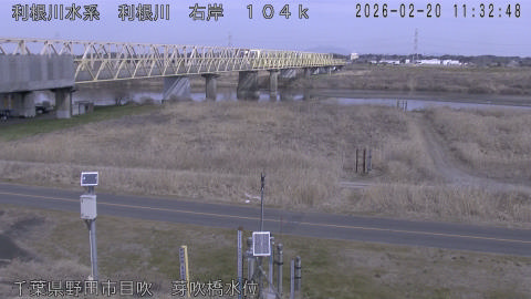 tonme2026022012_image