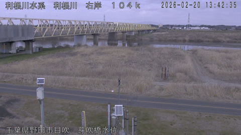 tonme2026022014_image