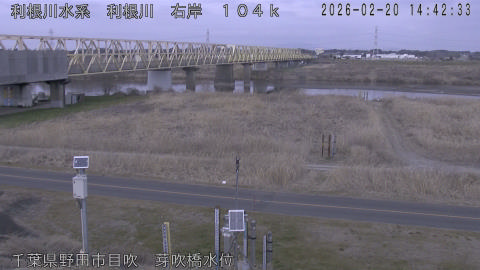 tonme2026022015_image