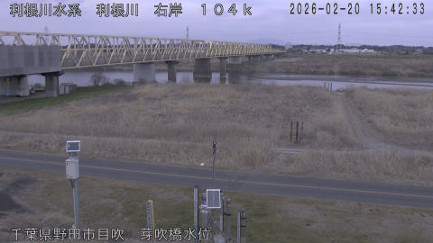 tonme2026022016_image