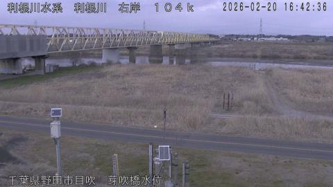 tonme2026022017_image