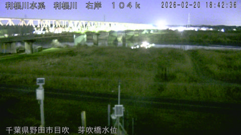 tonme2026022019_image