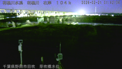 tonme2026022102_image