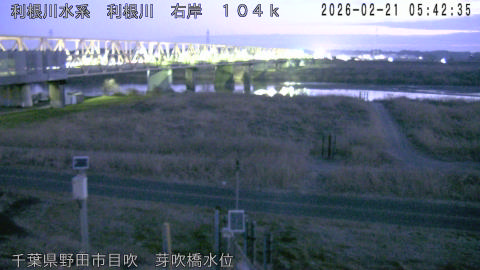 tonme2026022106_image