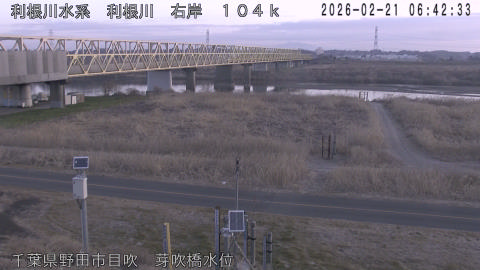 tonme2026022107_image