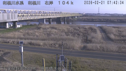 tonme2026022108_image