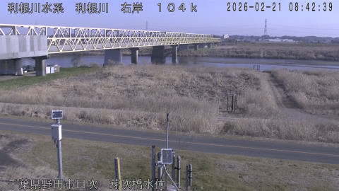 tonme2026022109_image