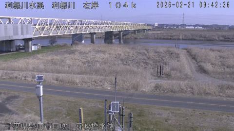 tonme2026022110_image