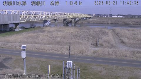 tonme2026022112_image