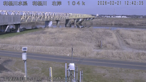 tonme2026022113_image