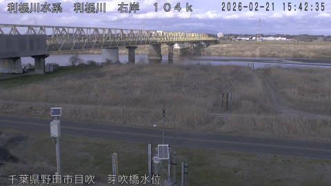 tonme2026022116_image