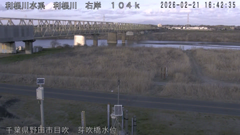 tonme2026022117_image