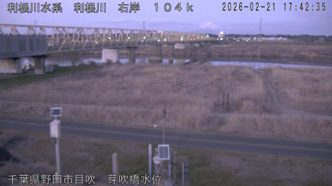 tonme2026022118_image