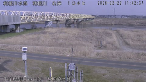 tonme2026022212_image