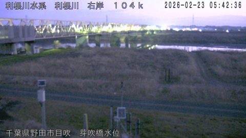 tonme2026022306_image