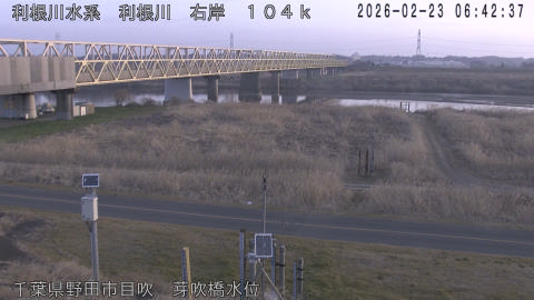 tonme2026022307_image