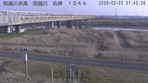 tonme2026022308_image