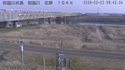 tonme2026022309_image