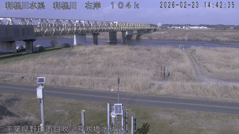 tonme2026022315_image