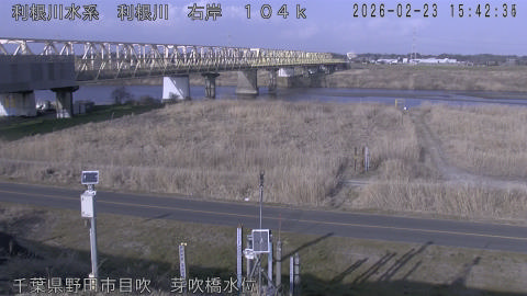 tonme2026022316_image