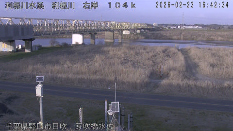 tonme2026022317_image