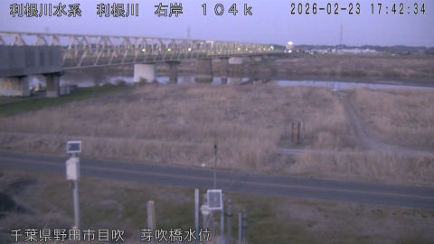 tonme2026022318_image