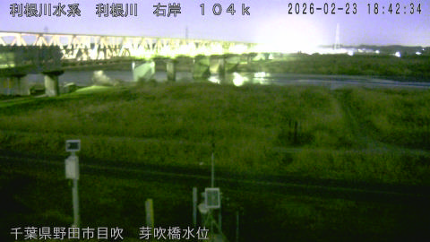 tonme2026022319_image