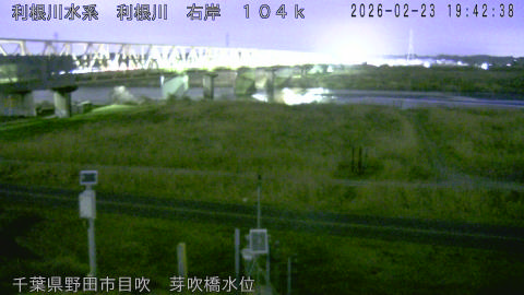 tonme2026022320_image