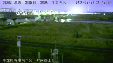 tonme2026022321_image