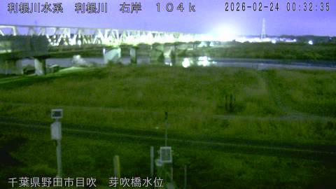 tonme2026022401_image