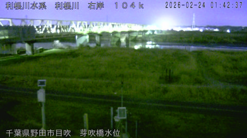 tonme2026022402_image