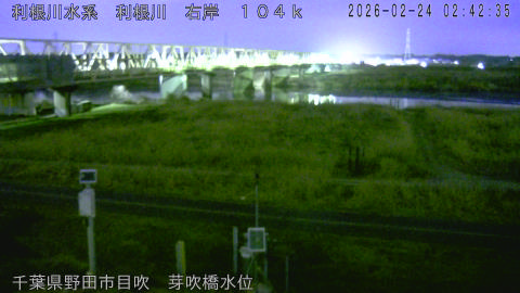 tonme2026022403_image