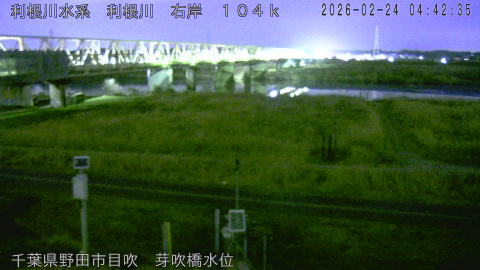 tonme2026022405_image