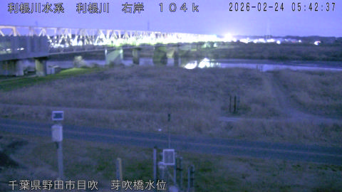 tonme2026022406_image