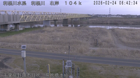 tonme2026022407_image