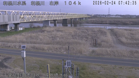 tonme2026022408_image