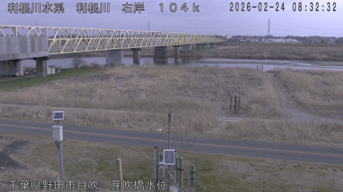 tonme2026022409_image